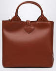 Longchamp Longchamp S Le Roseau Hobo Bag in Bark colour