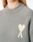 Ami Paris Ami Paris Sweaters Grey