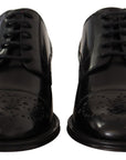 Dolce & Gabbana Elegant Wingtip Oxford Formal Shoes