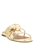 Zimmermann Zimmermann Orchid Slides