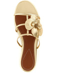 Zimmermann Zimmermann Orchid Slides