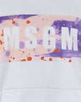 Msgm Msgm Camo Season Box Logo Hoodie