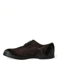 Dolce & Gabbana Elegant Brown Velvet Oxford Lace-up Shoes
