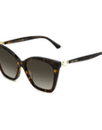 Jimmy Choo Brown Acetate Sunglasses