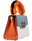Dolce & Gabbana Multicolor Leather Di Calfskin Handbag