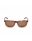 Timberland Brown Injected Sunglasses