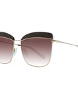 Ana Hickmann Brown Women Sunglasses