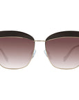 Ana Hickmann Brown Women Sunglasses
