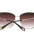 Ana Hickmann Brown Women Sunglasses