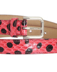 Dolce & Gabbana Polka Dot Snakeskin Belt with Silver Buckle