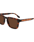 Lacoste Brown Injected Sunglasses