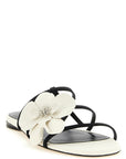 Zimmermann Zimmermann Orchid Slides