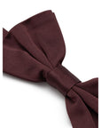 Dolce & Gabbana Burgundy Silk Ties & Bowty