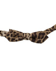 Dolce & Gabbana Brown Silk Ties & Bowty