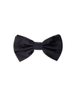 Dolce & Gabbana Black Silk Ties & Bowty
