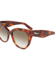 Ferragamo Brown Acetate Sunglasses