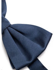 Dolce & Gabbana Blue Silk Ties & Bowty
