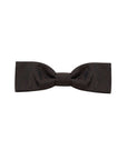 Dolce & Gabbana Brown Silk Ties & Bowty