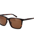 Timberland Brown Men Sunglasses