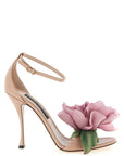 Dolce & Gabbana Dolce & Gabbana Bouquet Sandals