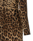 Dolce & Gabbana Dolce & Gabbana Animal Print Dress