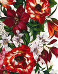 Dolce & Gabbana Dolce & Gabbana Floral Print Scarf