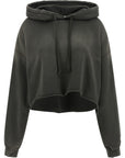 Golden Goose Star Golden Goose Hoodie