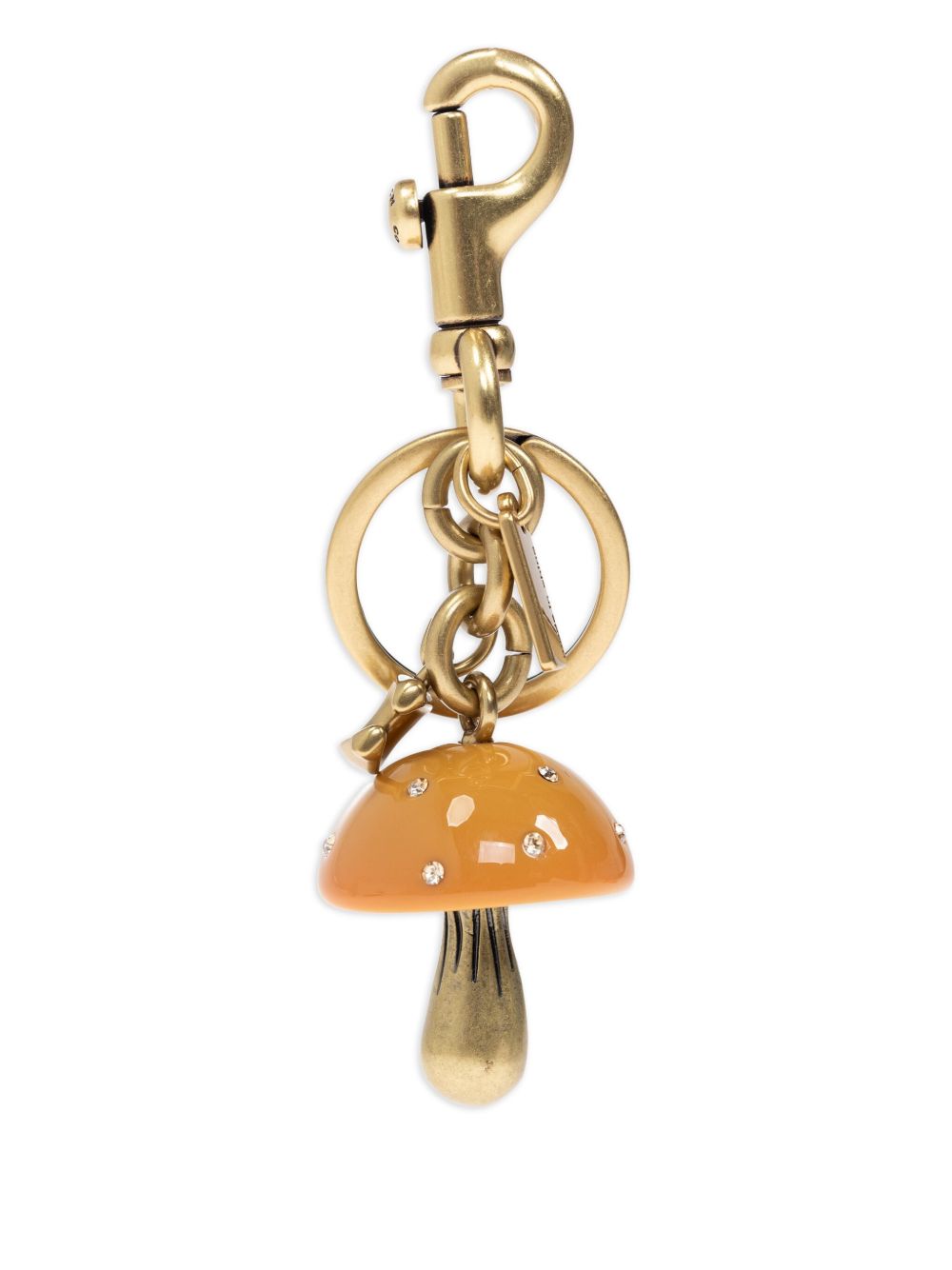 Coach Coach Accessories Golden