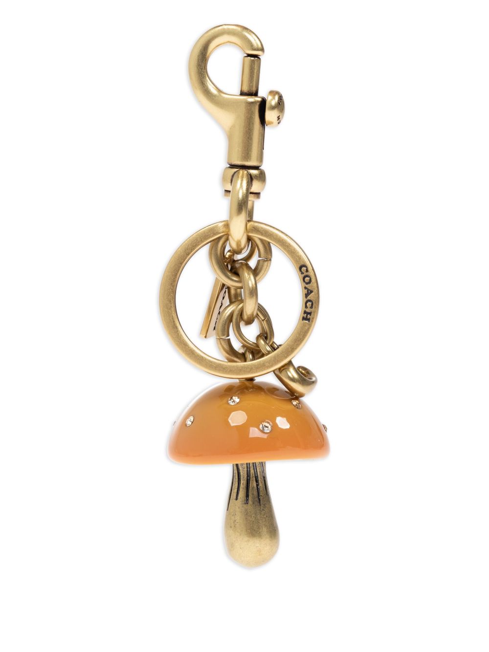 Coach Coach Accessories Golden