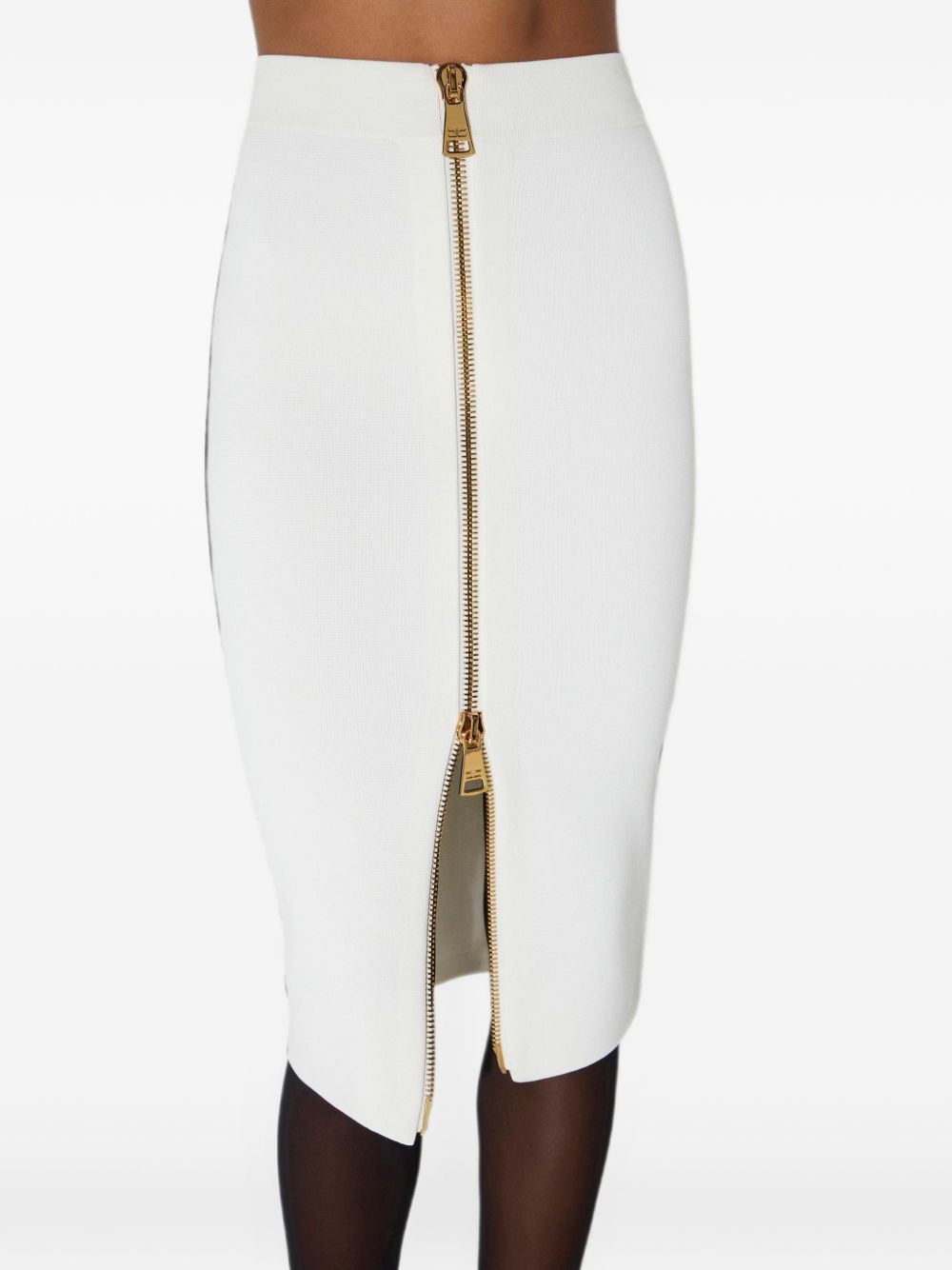 Elisabetta Franchi Elisabetta Franchi Skirts