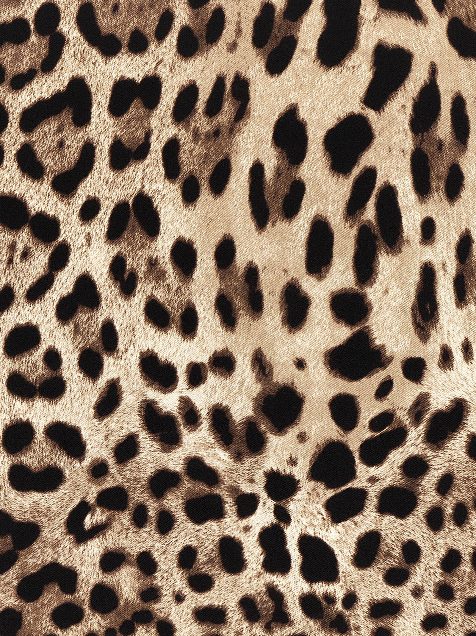 Dolce &amp; Gabbana Dolce &amp; Gabbana Leopardo Scarf