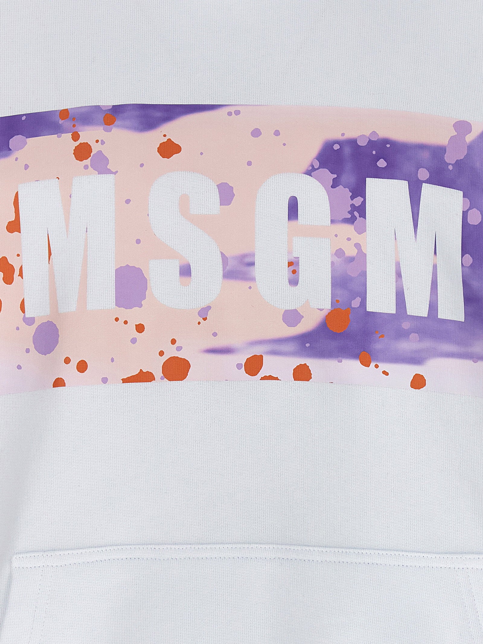 Msgm Msgm Camo Season Box Logo Hoodie