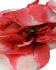 Dolce & Gabbana Multicolor Floral Applique Silk Women Headband Diadem