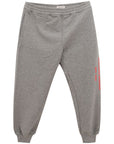 Alexander McQueen Chic Gray Cotton Blend Trousers