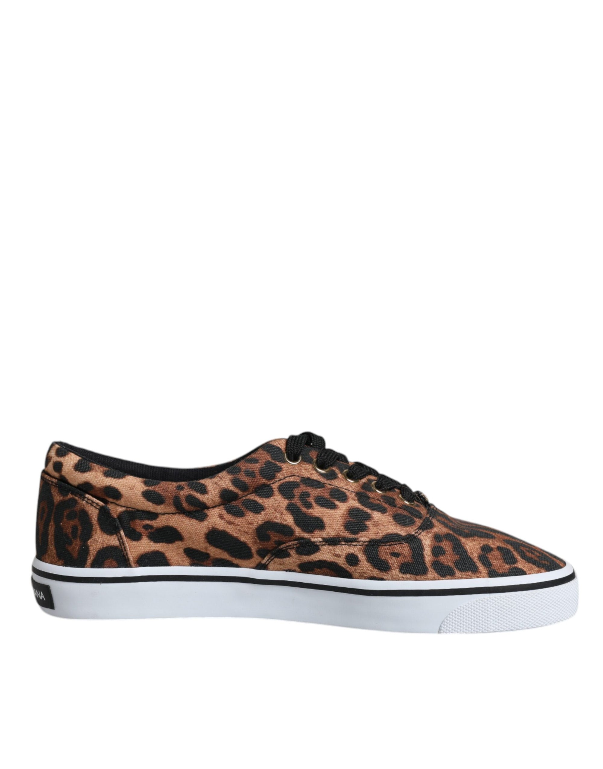 Dolce &amp; Gabbana Brown Leopard Logo Print Cotton Sneakers Shoes