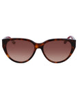 Lacoste Brown Acetate Sunglasses