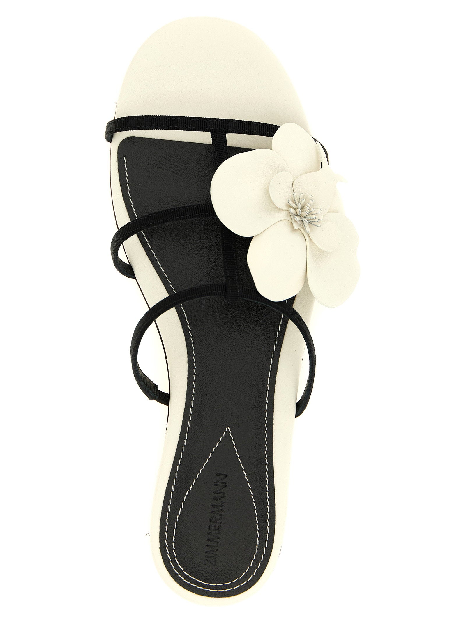 Zimmermann Zimmermann Orchid Slides