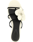 Zimmermann Zimmermann Orchid Slides