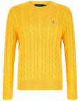 Polo Ralph Lauren Polo Ralph Lauren Cotton Braided Sweater