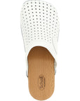 Balenciaga Balenciaga Clog X Scholl Sabots