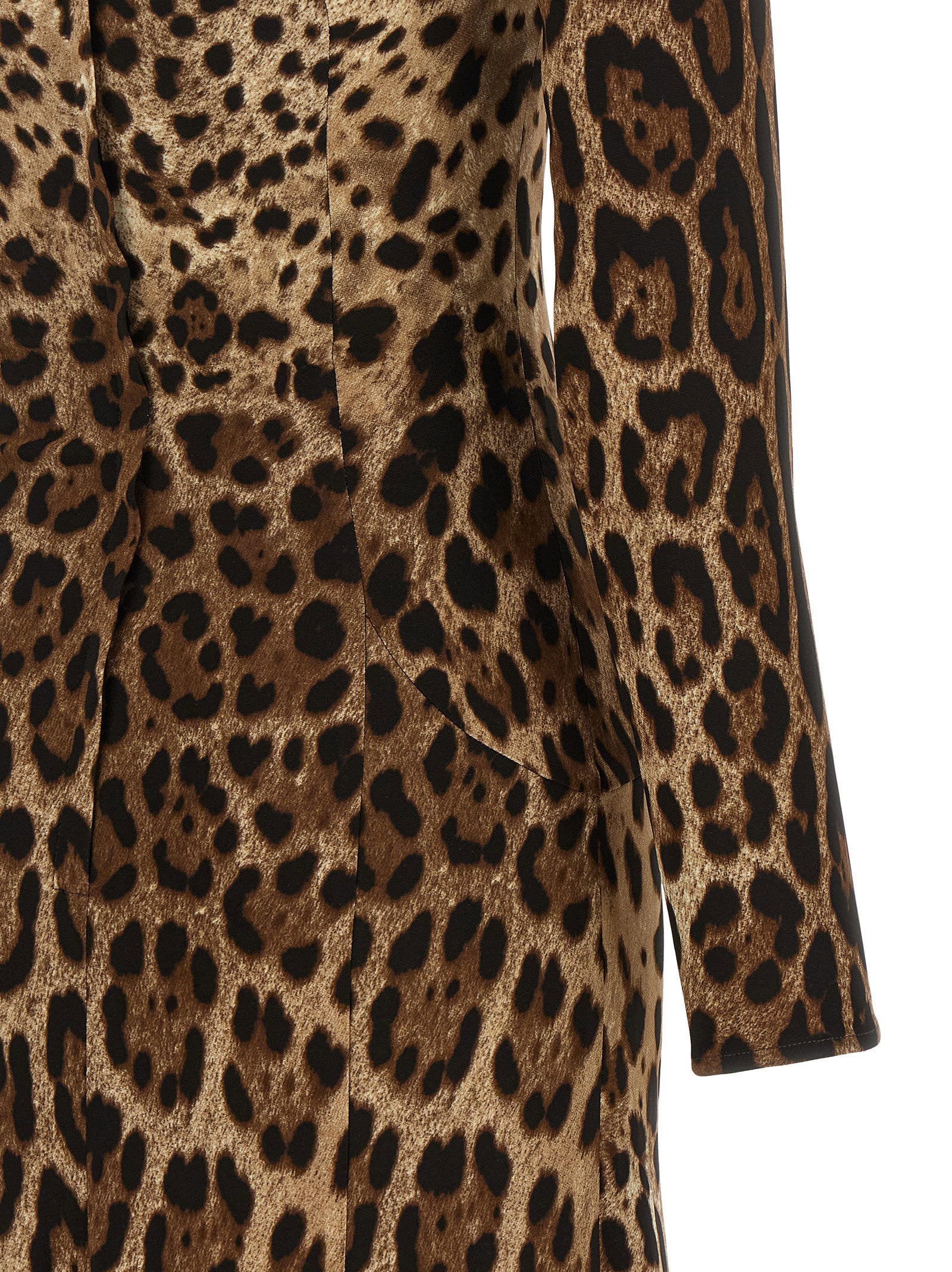 Dolce &amp; Gabbana Dolce &amp; Gabbana Animal Print Dress