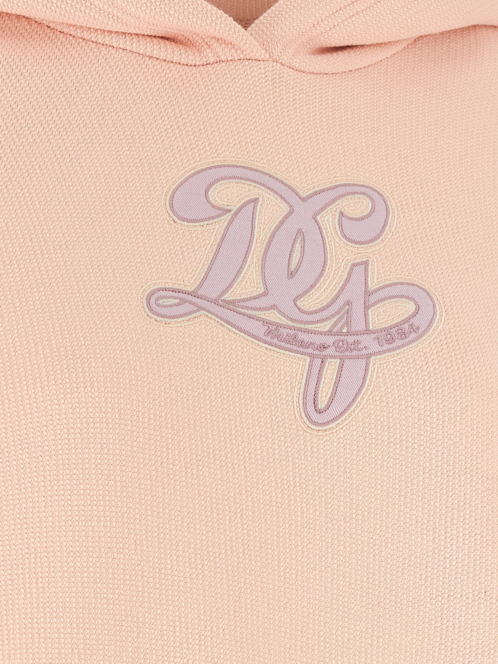 Dolce &amp; Gabbana Dolce &amp; Gabbana Logo Embroidery Hoodie