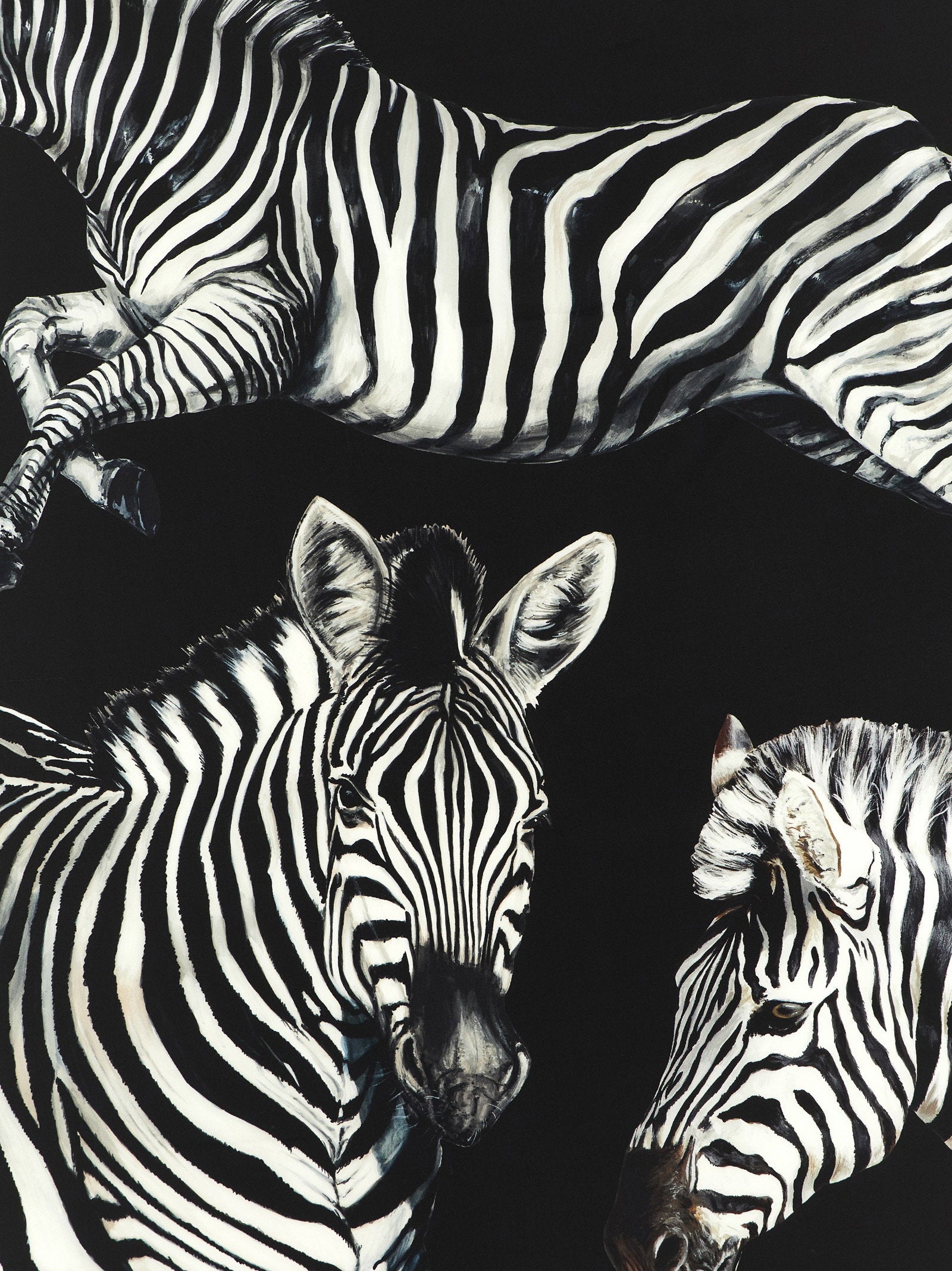 Dolce &amp; Gabbana Dolce &amp; Gabbana Zebra Print Scarf