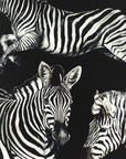 Dolce & Gabbana Dolce & Gabbana Zebra Print Scarf