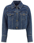 Balmain Balmain Denim Jacket